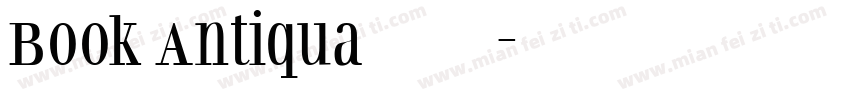 Book Antiqua 常规字体转换